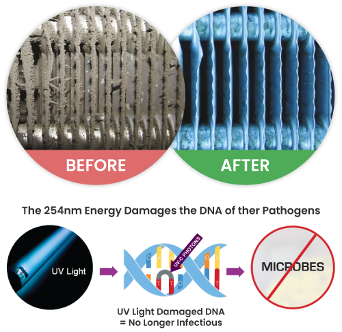 uvc-mould-prevention