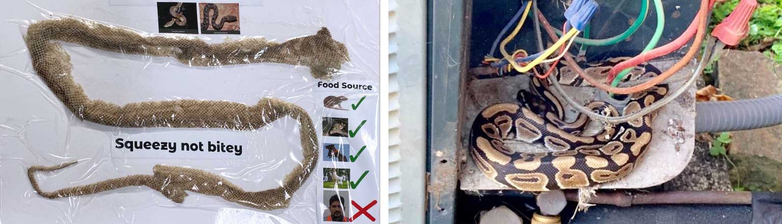 Animals vs. HVAC ~ Startling Discoveries and Health Risks – Clean-Air ...