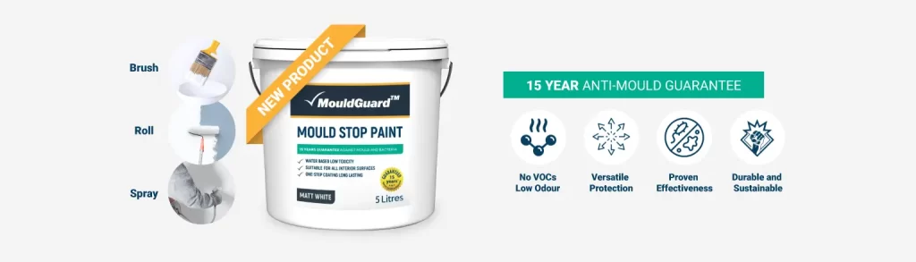 mould stop paint