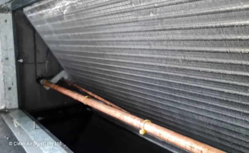Multi-Enzyme_Cleaning_Post_Coil Multi-Enzyme Cleaning Post Clean
