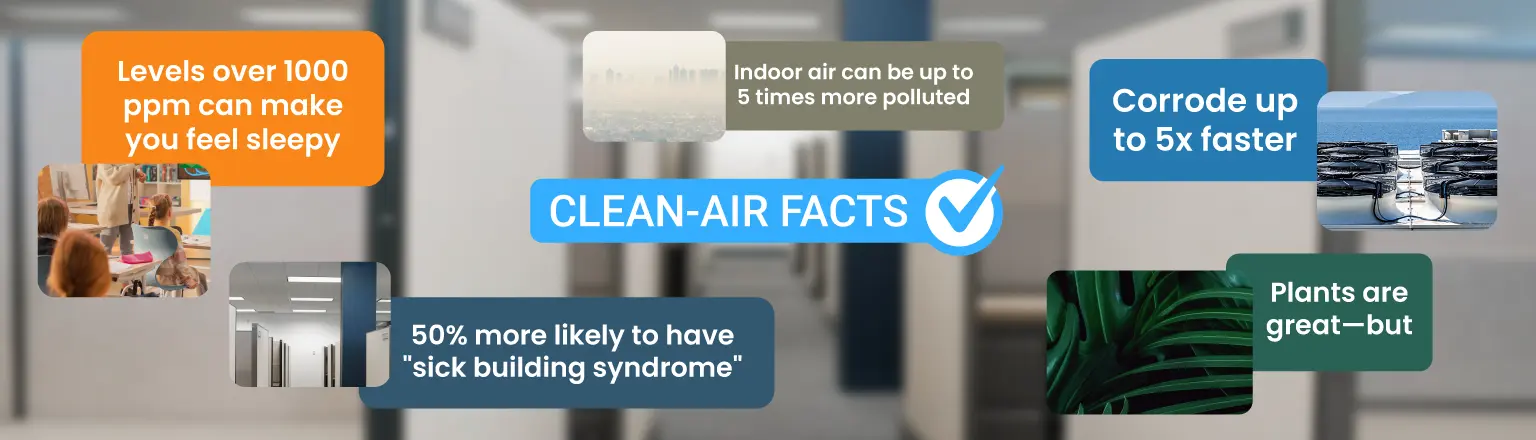 5 clean-air facts cover image