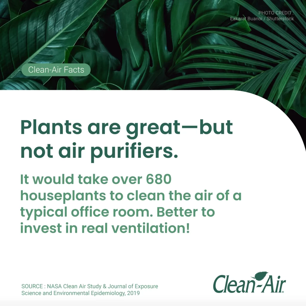 Clean-Air_Facts_02-02 copy Plants are great-but not air purifiers.