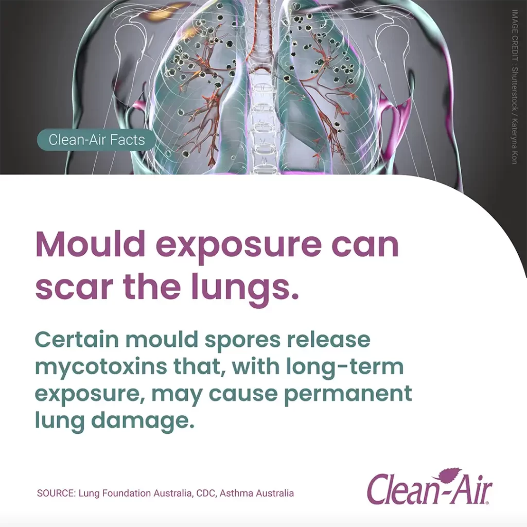 Clean-Air_Facts_Round_02_01-13 copy Clean-Air Facts: Fibrosis