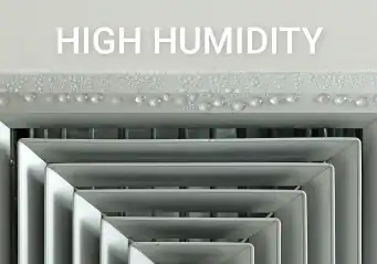 high humidity