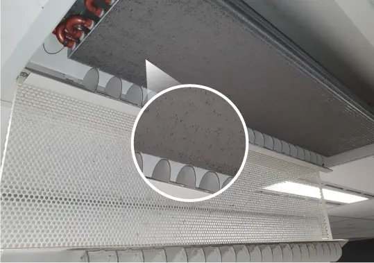 Before image