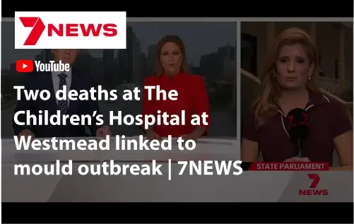 7News Youtube mould deaths