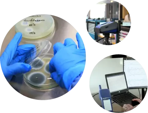 Indoor Air Quality services