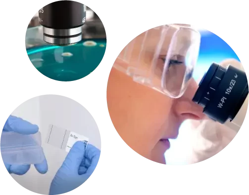 nata lab analysis