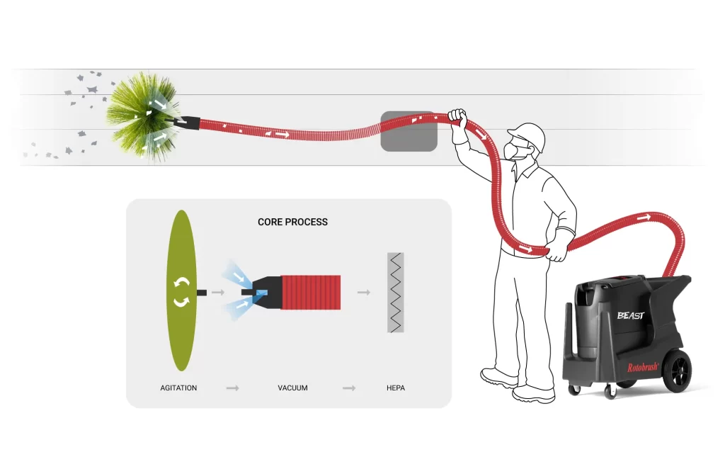brushbeast diagram